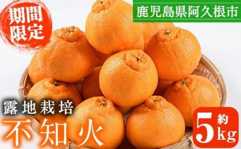 ＜2026年3月上旬以降順次発送予定＞数量限定！鹿児島県産 露地栽培の不知火(計約5kg：大将季) 国産 みかん ミカン 柑橘 フルーツ 果物 旬 デザート 数量限定 期間限定 露地 阿久根市産 しらぬい シラヌイ【三笠農業生産】akn051-10