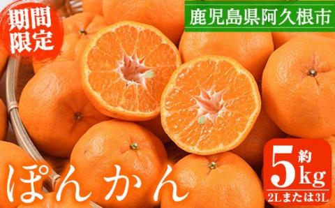 ＜2025年12月下旬以降順次発送予定＞数量限定！鹿児島県産 手詰めぽんかん(計約5kg・2L or 3L) 旬 フルーツ 果物 くだもの ポンカン 早生系統 デザート ノーワックス 阿久根市産 期間限定 数量限定 手詰 手作業【三笠農業生産】akn051-01