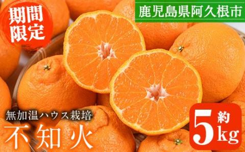 ＜2026年1月上旬以降順次発送予定＞数量限定！鹿児島県産無加温ハウス栽培 不知火(計約5kg：大将季) 柑橘 果物 くだもの フルーツ 旬 しらぬい シラヌイ ハウス栽培 無加温 数量限定 期間限定【三笠農業生産】akn051-12