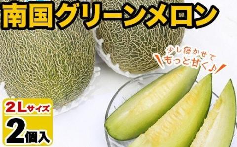 ＜2026年6月以降順次発送予定＞鹿児島県産！南国グリーンメロン(2Lサイズ×2個) メロン めろん 果物 スイーツ デザート フルーツ【あくね旬の店いきいき館】akn015-17