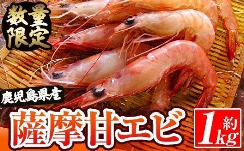 数量限定！鹿児島県阿久根産 薩摩甘エビ(約1kg・40～70尾) 国産 阿久根市産 えび 海老 急速冷凍 冷凍配送 魚貝類 魚介類 海産物 【濱崎魚類】akn023-05