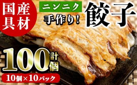 国産豚肉使用！手作りニンニク餃子(計100個・10個×10パック)国産 ギョウザ ぎょうざ お肉 にんにく おかず 惣菜 おつまみ【スーパーよしだ】akn058-06