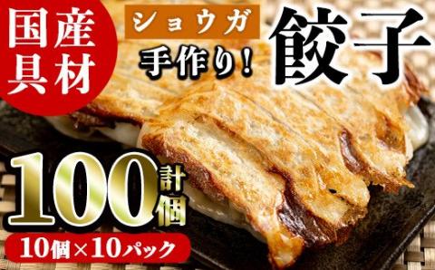 国産豚肉使用！手作りショウガ餃子(計100個・10個×10パック、たれ付き) 餃子 ぎょうざ ギョウザ ギョーザ しょうが 生姜 豚肉 おかず お惣菜【スーパーよしだ】akn058-07