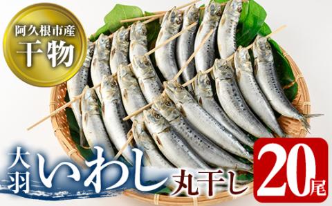 鹿児島県阿久根市産干物！大羽いわし丸干し(20尾)国産 鹿児島県産 魚介 魚貝 海産物 水産加工物 惣菜 簡単調理 セット 小分け【川本商店】akn030-09