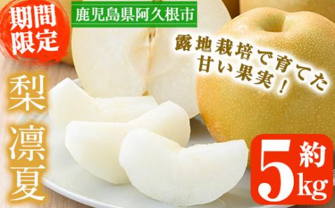 ＜2026年7月下旬以降順次発送予定＞数量限定！鹿児島県産梨＜品種：凛夏＞(約5kg・10～20個前後)国産 果物 くだもの フルーツ 旬 果実 ナシ なし デザート 露地栽培 りんか 凛夏 期間限定【三笠農業生産】akn051-08