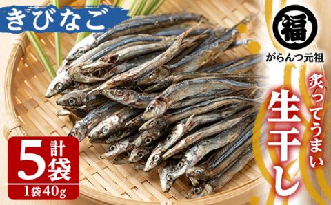 鹿児島県阿久根市産生干し「きびなご」(計5袋・1袋40g)国産 魚介 干物 ひもの キビナゴ がらんつ干物【マルフク川畑水産】akn029-04