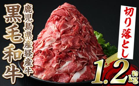 黒毛和牛鹿児島県産(経産牛)切り落とし(計1.2kg・600g×2P) 国産 牛肉 肉 冷凍配送 小分け 個包装 セット しゃぶしゃぶ すき焼き バーベキュー BBQ 鍋【スターゼン】akn042-04