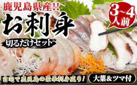 鹿児島県産！お刺身切るだけセット(3人～4人前)国産 刺し身盛 魚貝 魚介 海産物 刺身 蛸 たこ 海老 エビ かんぱち タイ 簡単調理 おつまみ セット 小分け 個包装【さるがく水産】akn028-05