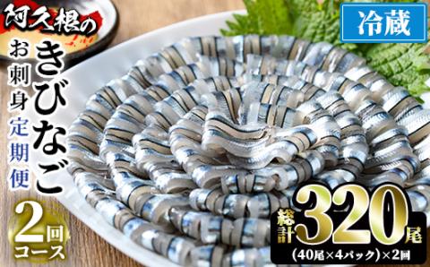 ＜定期便・全2回(冷蔵便)＞鹿児島県産！阿久根のきびなごお刺身セット(40尾×4P×2回)国産 魚介 おつまみ おかず 頒布会 青魚 子魚 小分け【椎木水産】akn054-10