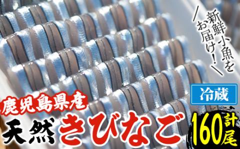 鹿児島県阿久根産 天然きびなごのお刺身(計160尾・40尾×4パック)国産 魚介 魚貝 海産物 鮮魚 冷蔵配送 キビナゴ 海鮮丼 食品 セット 詰め合わせ 水産加工品【濱崎魚類】akn023-02