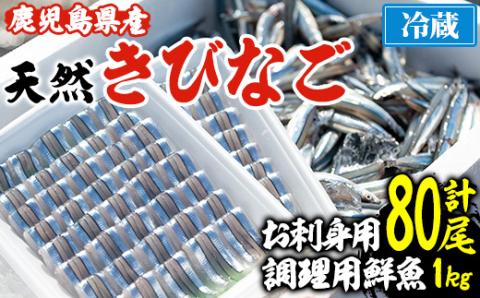 鹿児島県阿久根産！天然きびなごのお刺身(40尾×2パック)と鮮魚(1kg)セット 国産 九州産 鹿児島産 鮮魚 魚介 セット【濱崎魚類】akn023-03