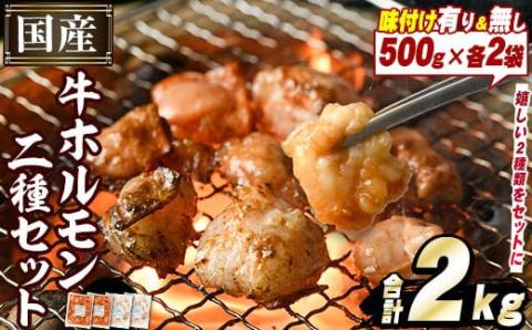 ＼テレビで紹介されました！／国産牛ホルモン2種セット(合計2kg) 国産 特産品 牛 小腸 味付 パック 詰め合わせ 詰合せ 炒め物 鍋 モツ おかず お弁当【スターゼン】akn031-01