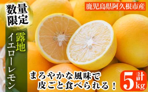 ＜2025年12月中旬以降順次発送予定＞数量限定！露地マイヤーイエローレモン(5kg) 国産 檸檬 イエローレモン オレンジ 果実 果物 フルーツ 柑橘【桐野柑橘株式会社】akn070-11