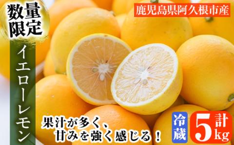 ＜2026年4月以降順次発送予定＞数量限定！冷蔵品マイヤーイエローレモン(5kg) 国産 マイヤーレモン 檸檬 オレンジ 果実 果物 フルーツ 柑橘 デザート 期間限定【桐野柑橘株式会社】akn070-13