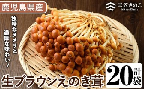 生ブラウンえのき茸(20袋・計3.6kg)国産 エノキ きのこ 茸 キノコ 個包装【三笠えのき茸生産組合】akn010-09