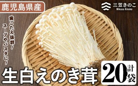 生白えのき茸(20袋・計5kg)国産 エノキ きのこ キノコ 個包装【三笠えのき茸生産組合】akn010-10