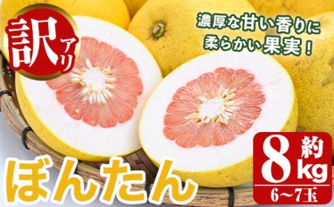 ＜2025年12月以降順次発送予定＞訳あり！数量限定！阿久根産ぼんたん(計8kg・6～7玉）国産 ボンタン 柑橘 果物 期間限定 文旦 訳アリ 不揃い【あくね旬の店いきいき館】akn015-13