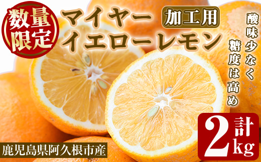 ＜2026年1月中旬以降順次発送予定＞数量限定！加工用・露地マイヤーイエローレモン(2kg) 国産 果実 果物 レモン イエローレモン フルーツ 檸檬 柑橘 デザート 期間限定【桐野柑橘株式会社】akn070-02