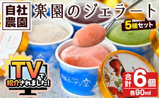 農園ガーデン空 楽園のジェラートセット(90ml×6個) ジェラート アイス いちご いちごミルク レモン ブルーベリー 抹茶 デザート スイーツ おやつ 夏 鹿児島 バラエティ バレンタイン ホワイトデー【農園ガーデン空】akn026-12