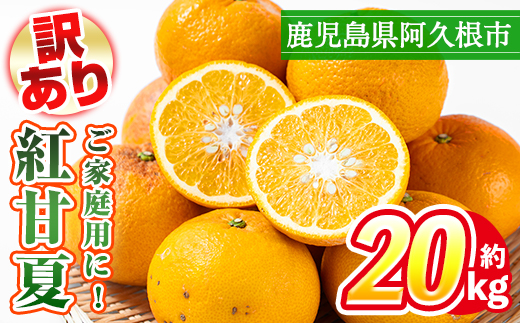 ＜2026年3月上旬以降順次発送予定＞訳あり！鹿児島県産まかない紅甘夏(約20kg) 国産 鹿児島産 柑橘 訳アリ 果物 フルーツ 旬 常温保存 紅甘夏 ベニアマナツ 数量限定 期間限定 規格外 デザート 阿久根市産【三笠農業生産】akn051-05