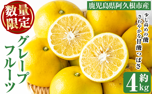 ＜2026年2月以降順次発送＞数量限定！グレープフルーツ(約4kg)国産 果実 果物 フルーツ 柑橘 デザート 期間限定【桐野柑橘株式会社】akn070-04