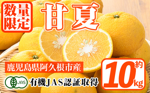 ＜2026年2月上旬以降発送予定＞数量限定！有機JAS 甘夏(約10kg) 国産 果実 果物 フルーツ 柑橘 デザート 期間限定 有機栽培【中村農場】akn084-05