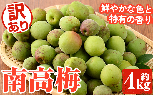 ＜2026年5月下旬以降順次発送予定＞訳あり！鹿児島県産 南高梅(約4kg) 国産 果物 梅 うめ ウメ ナンコウウメ 和食 梅干し 梅酒 梅シロップ 訳アリ サイズ混合 期間限定【松永青果】akn053-09