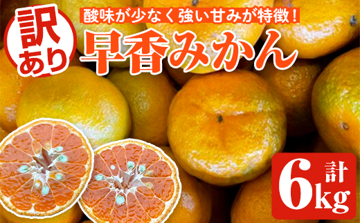 ＜2025年12月下旬以降順次発送予定＞訳あり早香みかん(計6kg) 国産 フルーツ 果物 蜜柑 柑橘 みかん 訳あり【松永青果】akn053-39