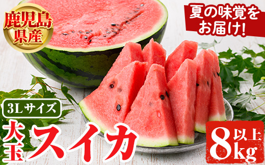 ＜2026年6月中旬以降順次発送予定＞鹿児島県産 大玉スイカ(3Lサイズ・1玉) 国産 果物 スイカ すいか 西瓜 フルーツ スイーツ スムージー ジュース【松永青果】akn053-15