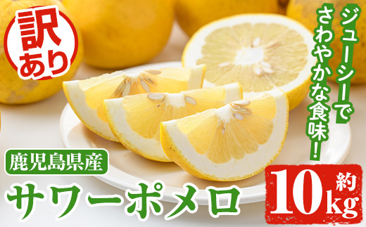 ＜2026年1月以降順次発送予定＞訳ありサワーポメロ(約10kg) 国産 果物 フルーツ 柑橘 甘味 酸味 デザート おやつ【松永青果】akn053-16