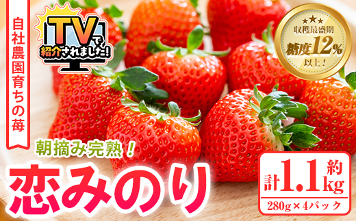 ＜2026年1月以降順次発送予定＞農園ガーデン空産いちご 恋みのりセット(計1.1kg・280g×4P)国産 イチゴ 苺 フルーツ 果物【農園ガーデン空】akn026-02