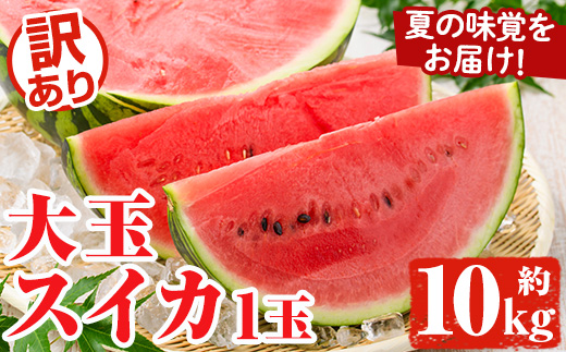 ＜2026年6月中旬以降順次発送予定＞訳あり！鹿児島県産 大玉スイカ(1玉・約10kg) 国産 果物 スイカ すいか 西瓜 フルーツ スイーツ スムージー ジュース【松永青果】akn053-21