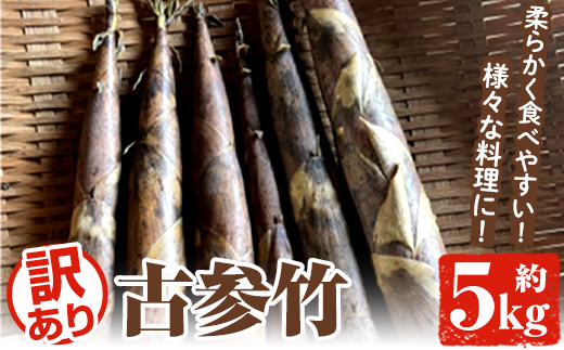 ＜2026年4月下旬以降順次発送予定＞訳あり！古参竹(約5kg) 鹿児島県 阿久根市 古参竹 こさんだけ 竹の子 タケノコ たけのこ 天ぷら 炒め物 メンマ 煮物 サイズ混合 訳アリ 野菜 青果【松永青果】akn053-22