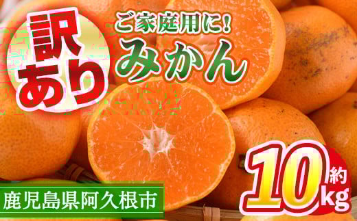 ＜2025年10月中旬以降順次発送予定＞訳あり！鹿児島県産みかん(計約10kg) 大容量 傷あり 不揃い 国産 柑橘 果物 くだもの フルーツ 旬 期間限定 数量限定 訳アリ 規格外 ご家庭用 ご自宅用 ミカン ノーワックス【三笠農業生産】akn051-04