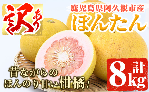 ＜2025年12月中旬以降順次発送予定＞訳あり！鹿児島県阿久根市産ボンタン(計8kg)国産 ぼんたん 文旦 柑橘 果物 フルーツ【松永青果】akn053-02