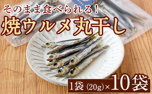 焼ウルメ丸干し10袋セット(20g×10袋)海産物 いわし 鰯 ウルメイワシ おつまみ おかず【下園薩男商店】akn086-07
