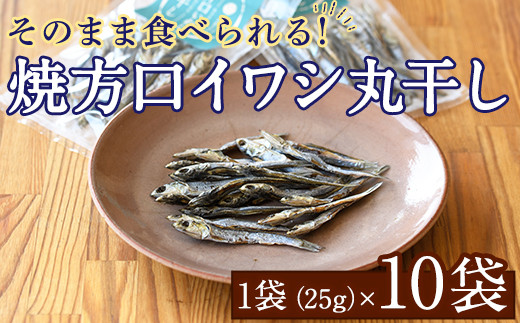 焼片口イワシ丸干し10袋セット(25g×10袋)海産物 いわし 鰯 おつまみ おかず【下園薩男商店】akn086-09