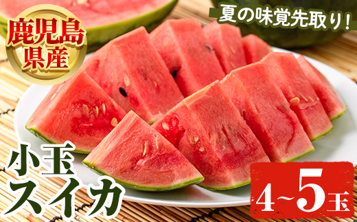 ＜2026年5月下旬以降順次発送予定＞鹿児島県産 小玉スイカ(4～5玉) 国産 果物 スイカ すいか 西瓜 フルーツ スイーツ スムージー ジュース 期間限定【松永青果】akn053-25