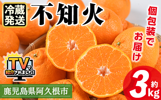 ＜2026年4月上旬以降順次発送予定＞数量限定！冷蔵不知火「クールな大将季」(計約3kg) 国産 みかん ミカン 柑橘 フルーツ 果物 旬 デザート 数量限定 阿久根市産 露地 しらぬい シラヌイ 冷蔵 期間限定 クール【三笠農業生産】akn051-06