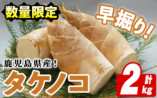 ＜2026年3月以降順次発送予定＞鹿児島県産！早掘りタケノコ(2kg) 国産 野菜 筍 たけのこ 竹 春 野菜 旬【鹿児島いずみ農業協同組合】akn018-23