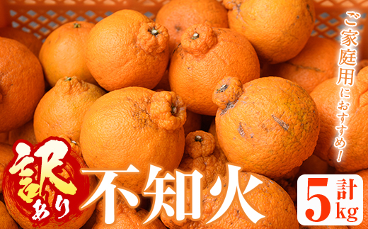 ＜2026年2月以降順次発送予定＞＜訳あり・不揃いの為＞数量限定！無加温ハウス不知火(5kg) 国産 鹿児島県 阿久根市 果実果物 フルーツ 柑橘 みかん ミカン 期間限定 数量限定【桐野柑橘株式会社】akn070-12