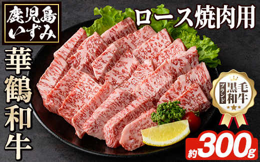 商標登録のブランド黒毛和牛肉！鹿児島いずみ華鶴和牛の焼き肉用ロース(約300g) 阿久根市 国産 九州産 鹿児島県産 特産品 肉 牛肉 焼肉 希少【鹿児島いずみ農業協同組合】akn018-24
