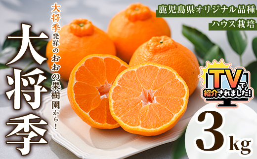 ＜2026年2月中旬以降順次発送予定＞数量限定！おおの果樹園の「大将季」(計3kg) 果物 フルーツ 果実 柑橘 ハウス栽培 無加温 みかん【おおの果樹園】akn087-03