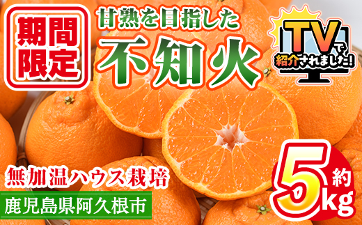 ＜2026年1月上旬以降順次発送予定＞数量限定！鹿児島県産無加温ハウス栽培 不知火(計約5kg：大将季) 柑橘 果物 くだもの フルーツ 旬 しらぬい シラヌイ ハウス栽培 無加温 数量限定 期間限定【三笠農業生産】akn051-12