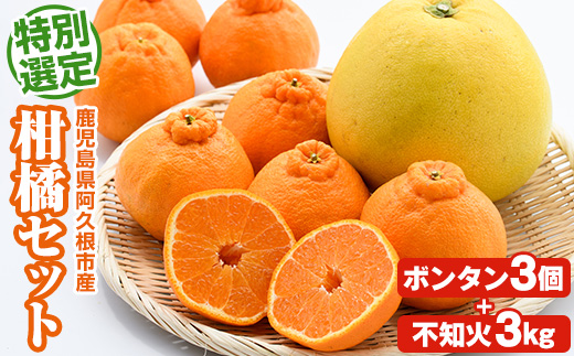 ＜2026年1月以降順次発送予定＞鹿児島県阿久根市産！特別選定 柑橘セット(ボンタン3個・不知火3kg) 国産 果物 フルーツ かんきつ ノーワックス【松永青果】akn053-26