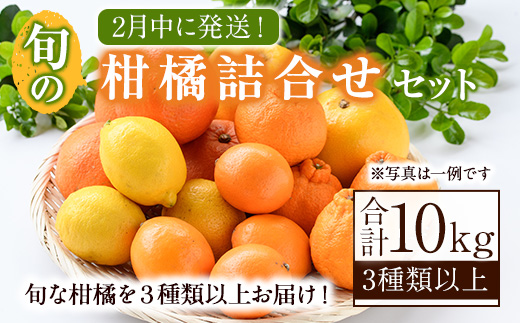 ＜2026年2月発送分！＞旬の柑橘詰合せセット (約10kg) 国産 鹿児島県 阿久根市 果実 果物 フルーツ 柑橘 みかん ミカン 旬 詰め合わせ セット【桐野柑橘株式会社】akn070-16-m02