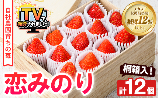 ＜2026年1月以降順次発送予定＞桐箱入！自社農園産いちご 恋みのり(計12個) 鹿児島 阿久根 自社農園 果物 フルーツ イチゴ いちご 苺 恋みのり 贈答用 ギフト 桐箱 デザート 期間限定【農園ガーデン空】akn026-10