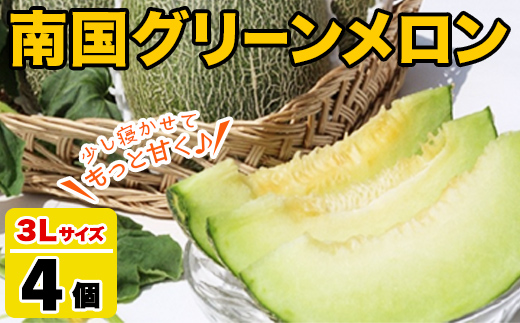 ＜2026年6月以降順次発送予定＞鹿児島県産！南国グリーンメロン(3Lサイズ×4個) メロン めろん 果物 スイーツ デザート フルーツ 【あくね旬の店いきいき館】akn015-18