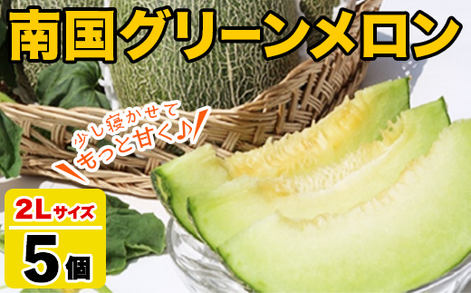 ＜2026年6月以降順次発送予定＞鹿児島県産！南国グリーンメロン(2Lサイズ×5個) メロン めろん 果物 スイーツ デザート フルーツ 【あくね旬の店いきいき館】akn015-19