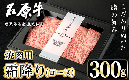 石原牛 霜降りロース 焼肉用(300g) 黒毛和牛 国産 九州産 鹿児島県産 ブランド牛 焼肉 BBQ 牛肉 和牛 霜降り ロース 冷凍 贅沢 贅沢な一品 贈答用 ギフト用【株式会社石原PRO】akn083-07
